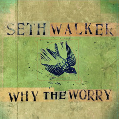 Album Cover Artwork for ROCK RHYTHM & BLUES: Seth Walker