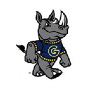 Rhino (body)
