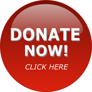 WSGE donate Button